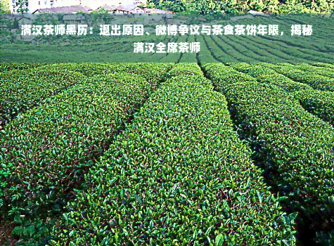 满汉茶师黑历：退出原因、微博争议与茶食茶饼年限，揭秘满汉全席茶师