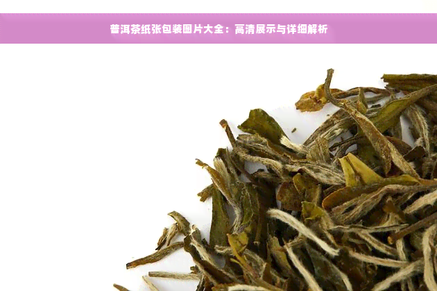 普洱茶纸张包装图片大全：高清展示与详细解析