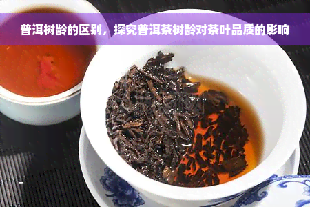 普洱树龄的区别，探究普洱茶树龄对茶叶品质的影响