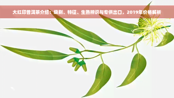 大红印普洱茶介绍：级别、特征、生熟辨识与专供出口，2019年价格解析