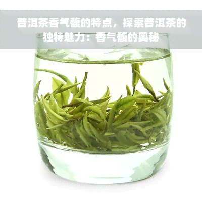 普洱茶香气馥的特点，探索普洱茶的独特魅力：香气馥的奥秘