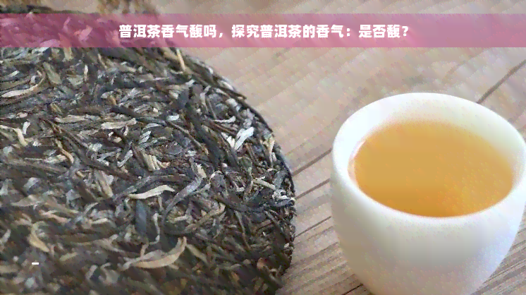 普洱茶香气馥吗，探究普洱茶的香气：是否馥？