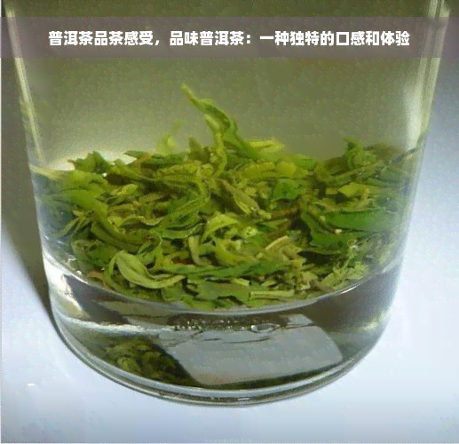 普洱茶品茶感受，品味普洱茶：一种独特的口感和体验