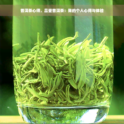 普洱茶心得，品鉴普洱茶：我的个人心得与体验