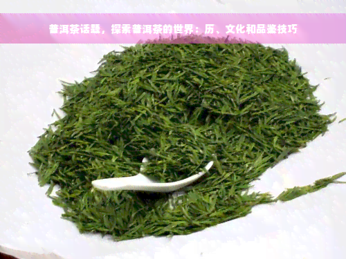 普洱茶话题，探索普洱茶的世界：历、文化和品鉴技巧