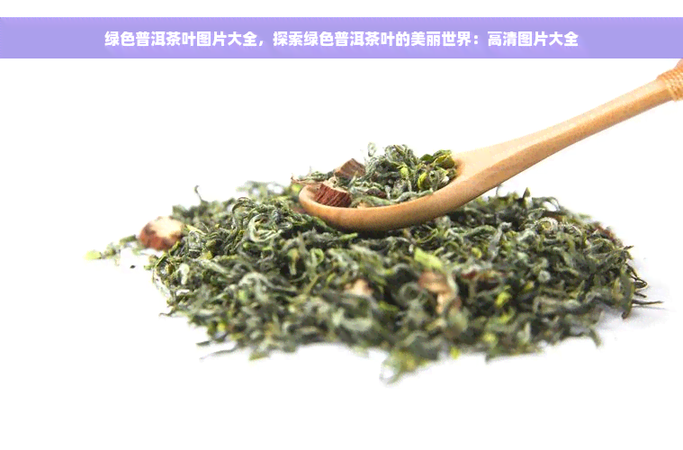 绿色普洱茶叶图片大全，探索绿色普洱茶叶的美丽世界：高清图片大全