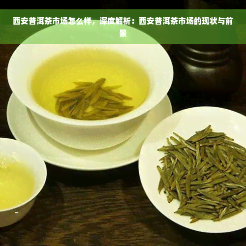 西安普洱茶市场怎么样，深度解析：西安普洱茶市场的现状与前景