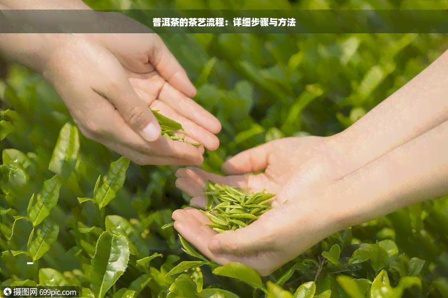 普洱茶的茶艺流程：详细步骤与方法