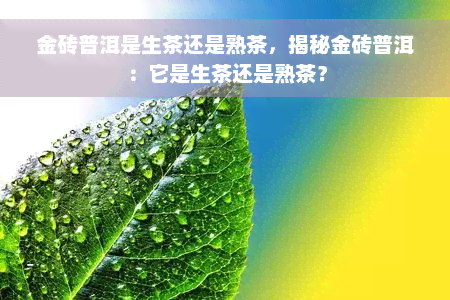 金砖普洱是生茶还是熟茶，揭秘金砖普洱：它是生茶还是熟茶？