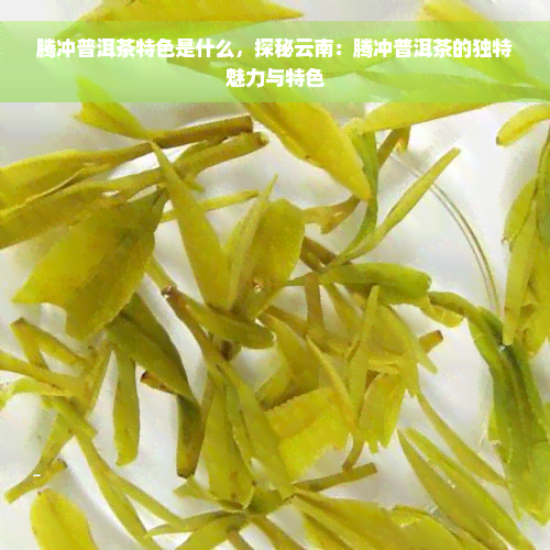 腾冲普洱茶特色是什么，探秘云南：腾冲普洱茶的独特魅力与特色