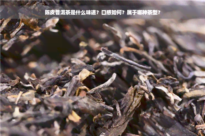 陈皮普洱茶是什么味道？口感如何？属于哪种茶型？