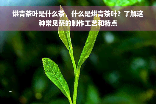 烘青茶叶是什么茶，什么是烘青茶叶？了解这种常见茶的制作工艺和特点