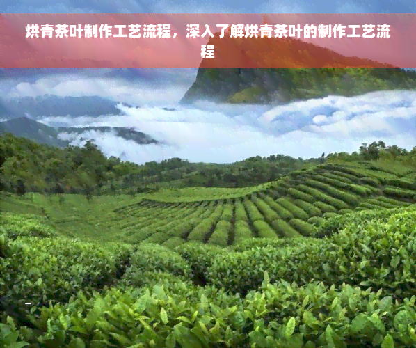 烘青茶叶制作工艺流程，深入了解烘青茶叶的制作工艺流程