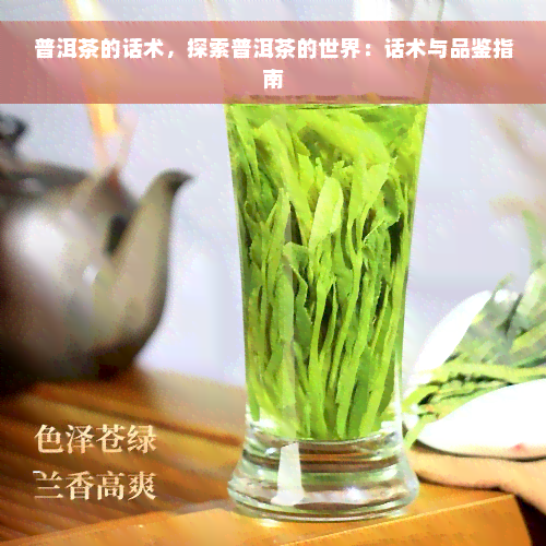 普洱茶的话术，探索普洱茶的世界：话术与品鉴指南