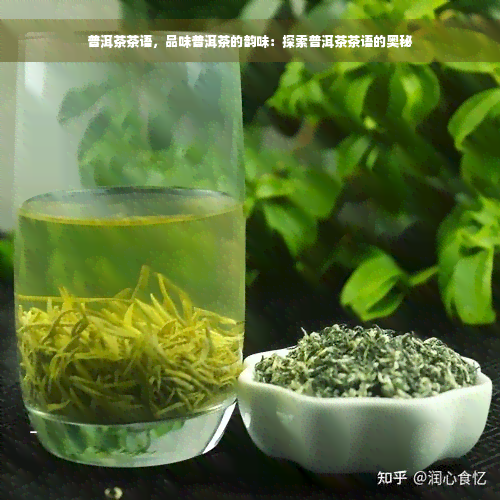 普洱茶茶语，品味普洱茶的韵味：探索普洱茶茶语的奥秘