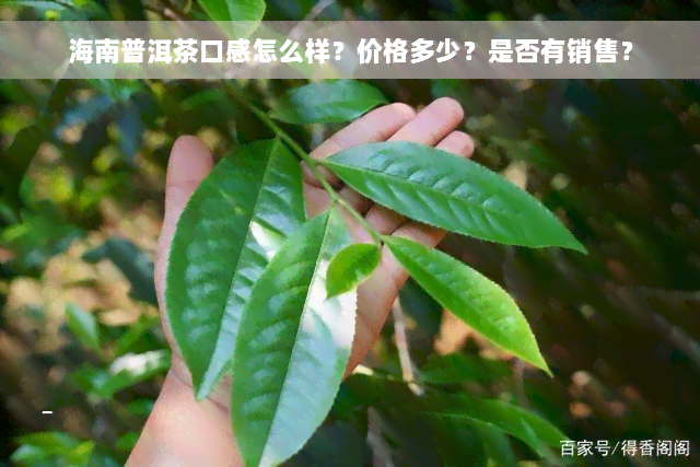 海南普洱茶口感怎么样？价格多少？是否有销售？