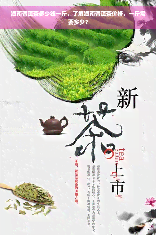 海南普洱茶多少钱一斤，了解海南普洱茶价格，一斤需要多少？