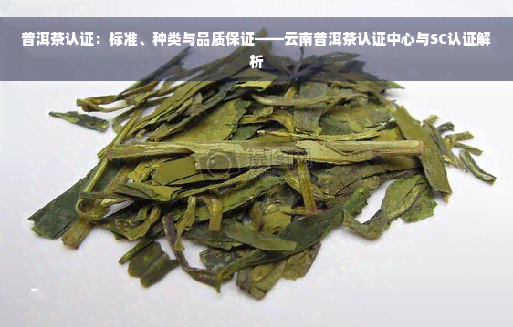 普洱茶认证：标准、种类与品质保证——云南普洱茶认证中心与SC认证解析