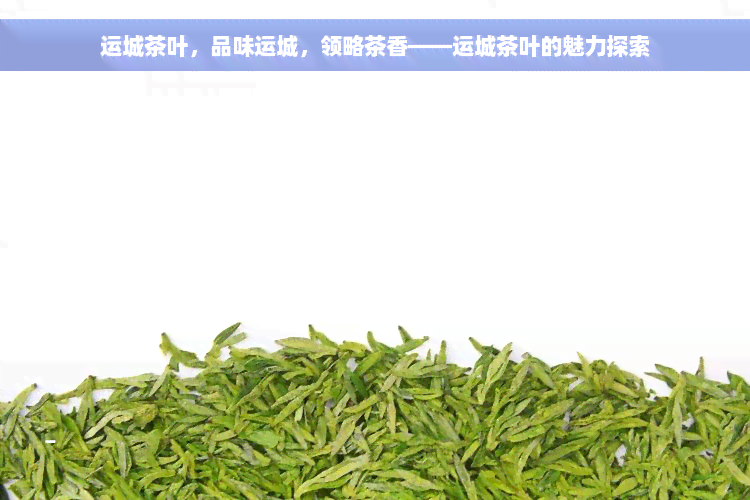 运城茶叶，品味运城，领略茶香——运城茶叶的魅力探索