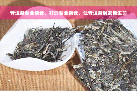 普洱茶专业茶仓，打造专业茶仓，让普洱茶焕发新生命