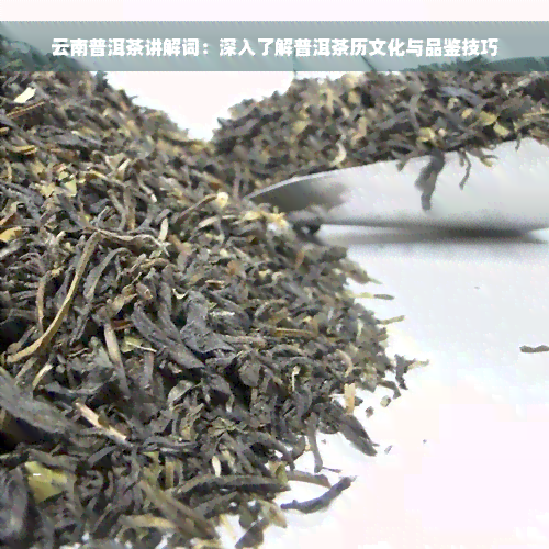 云南普洱茶讲解词：深入了解普洱茶历文化与品鉴技巧