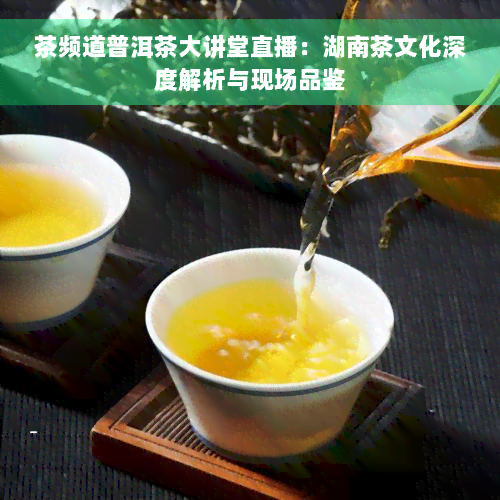 茶频道普洱茶大讲堂直播：湖南茶文化深度解析与现场品鉴