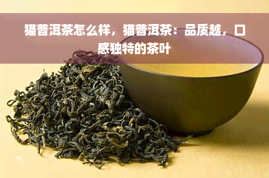 猫普洱茶怎么样，猫普洱茶：品质越，口感独特的茶叶