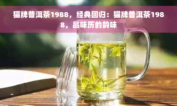 猫牌普洱茶1988，经典回归：猫牌普洱茶1988，品味历的韵味