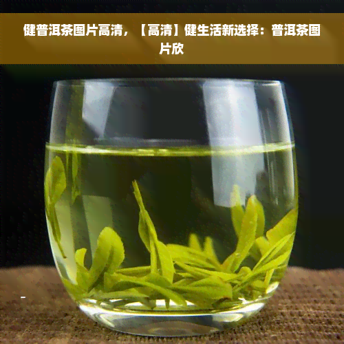 健普洱茶图片高清，【高清】健生活新选择：普洱茶图片欣