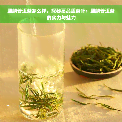 麒麟普洱茶怎么样，探秘高品质茶叶：麒麟普洱茶的实力与魅力