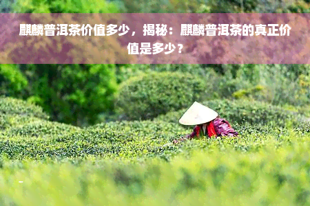 麒麟普洱茶价值多少，揭秘：麒麟普洱茶的真正价值是多少？