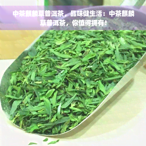 中茶麒麟草普洱茶，品味健生活：中茶麒麟草普洱茶，你值得拥有！