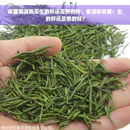 收藏普洱茶是生的好还是熟的好，普洱茶收藏：生的好还是熟的好？