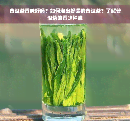 普洱茶香味好吗？如何泡出好喝的普洱茶？了解普洱茶的香味种类