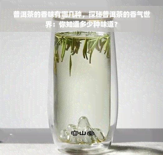 普洱茶的香味有哪几种，探秘普洱茶的香气世界：你知道多少种味道？