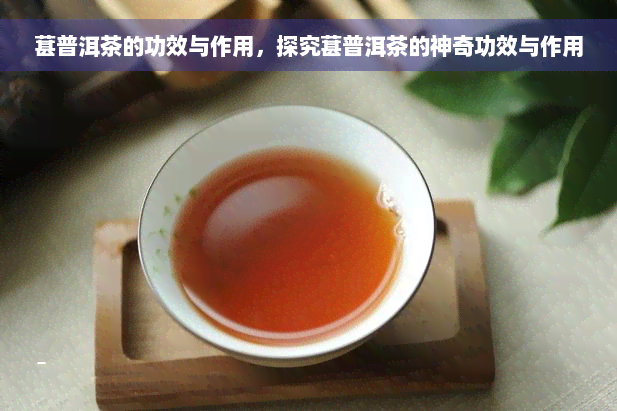 葚普洱茶的功效与作用，探究葚普洱茶的神奇功效与作用