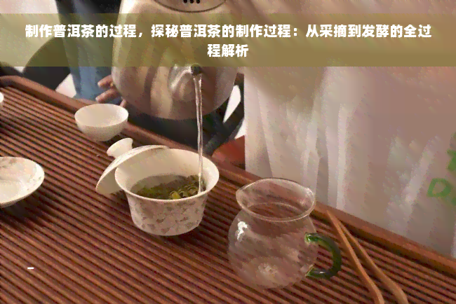 制作普洱茶的过程，探秘普洱茶的制作过程：从采摘到发酵的全过程解析