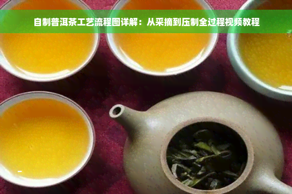 自制普洱茶工艺流程图详解：从采摘到压制全过程视频教程