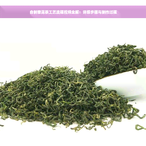 自制普洱茶工艺流程视频全解：详细步骤与制作过程