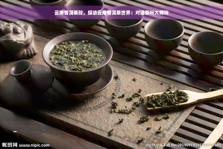 云南普洱茶玲，探访云南普洱茶世界：对话茶叶大师玲