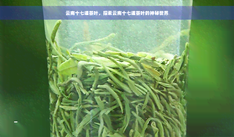 云南十七道茶叶，探索云南十七道茶叶的神秘世界