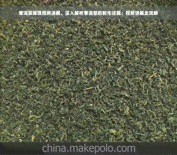 普洱茶整理视频讲解，深入解析普洱茶的制作过程：视频讲解全攻略