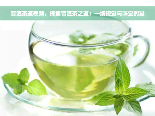 普洱茶道视频，探索普洱茶之道：一场视觉与味觉的宴