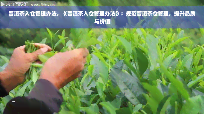 普洱茶入仓管理办法，《普洱茶入仓管理办法》：规范普洱茶仓管理，提升品质与价值