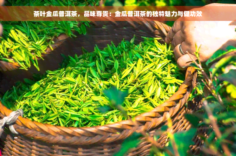 茶叶金瓜普洱茶，品味尊贵：金瓜普洱茶的独特魅力与健功效