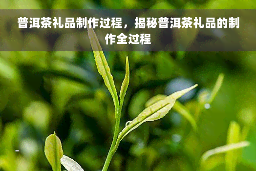 普洱茶礼品制作过程，揭秘普洱茶礼品的制作全过程