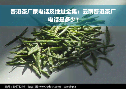 普洱茶厂家电话及地址全集：云南普洱茶厂电话是多少？