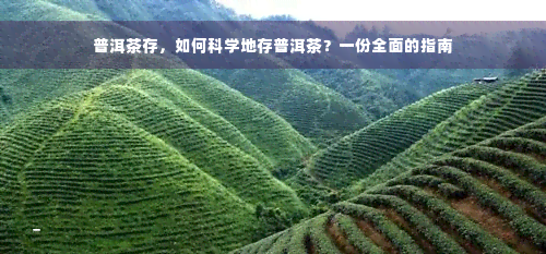 普洱茶存，如何科学地存普洱茶？一份全面的指南