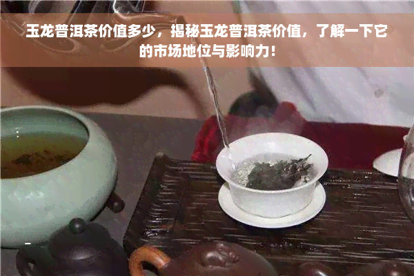 玉龙普洱茶价值多少，揭秘玉龙普洱茶价值，了解一下它的市场地位与影响力！