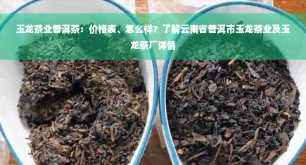 玉龙茶业普洱茶：价格表、怎么样？了解云南省普洱市玉龙茶业及玉龙茶厂详情